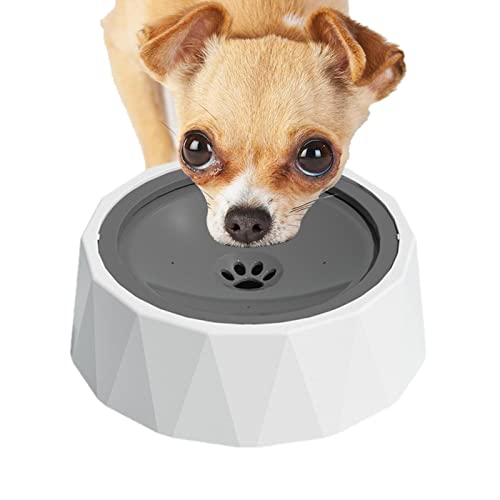 Wassernapf für Hunde, kein Verschütten, große Kapazität, langsamer Wasserspender für Hunde, rutschfest, mit schwimmender Scheibe für Hunde und Wassernapf für Hunde, kein Verschütten, große Kapazität, langsamer Wasserspender für Hunde, rutschfest, mit schwimmender Scheibe für Hunde und von Generic