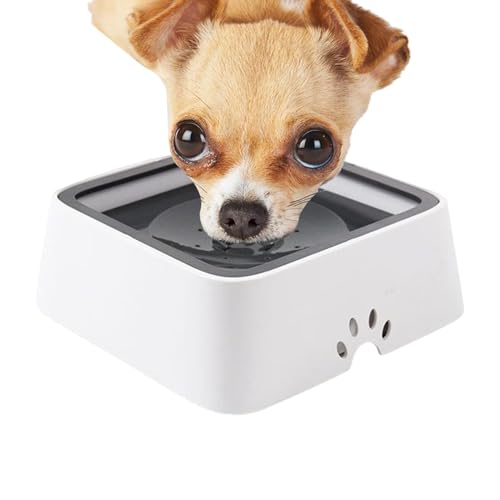 Wassernapf für große Hunde - Wassernapf Katze 2L, Wassernapf kein Auslaufen | Keine Hundenapf für Hunde tropfen, Wassernapf für Haustiere ohne Spol Wassernapf für große Hunde - Wassernapf Katze 2L, Wassernapf kein Auslaufen | Keine Hundenapf für Hunde tropfen, Wassernapf für Haustiere ohne Spol von Generic