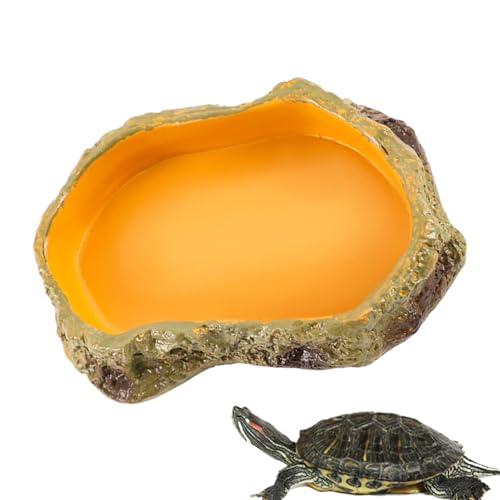 Wasserschale für Reptilien, Schlangenwasserbecken für Reptilientank | multifunktionales sicheres Futter-Terrarium für Reptilien, Tierfutterbehälter von Generic