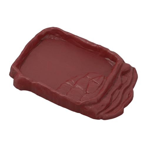 Wasserschale für Reptilien - Umweltfreundliche Reptilienschale zum sicheren Trinken von Amphibien | Robuste Wasserschale für Reptilien rutschfest | Tragbarer Wasserschale für Reptilien im Nat-Look Wasserschale für Reptilien - Umweltfreundliche Reptilienschale zum sicheren Trinken von Amphibien | Robuste Wasserschale für Reptilien rutschfest | Tragbarer Wasserschale für Reptilien im Nat-Look von Generic