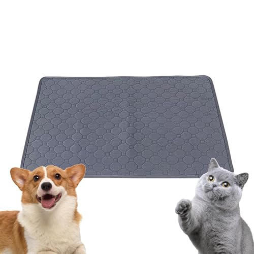 Windelpads für Hunde – rutschfeste Urin-Pads für Haustiere, wiederverwendbares Hunde-Toilettenkissen | Effektive Trainingsmatte für Haustiere Windelpads für Hunde – rutschfeste Urin-Pads für Haustiere, wiederverwendbares Hunde-Toilettenkissen | Effektive Trainingsmatte für Haustiere von Generic