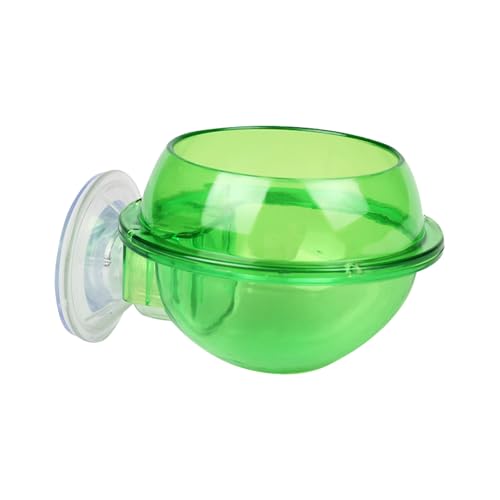 ZUCHTEBUP FEEDER BOLL - Reptil Lebensmittel Cricketgericht, Riffelwasserschale | Bärtiger Drachengecko Lizard Pet Fütterungsgeräte, Flucht Proof Container mit starker Haftung ZUCHTEBUP FEEDER BOLL - Reptil Lebensmittel Cricketgericht, Riffelwasserschale | Bärtiger Drachengecko Lizard Pet Fütterungsgeräte, Flucht Proof Container mit starker Haftung von Generic