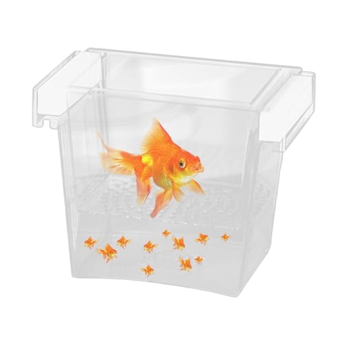 Züchterbox für Aquarien, schwimmende Aquarium-Zuchtbox – Trennwand, für Kinderzimmer, sichere Akklimatisierung, Ei, Guppy, , Betta, Frittiere, Brutkasten, Inkubator-Lösung Züchterbox für Aquarien, schwimmende Aquarium-Zuchtbox – Trennwand, für Kinderzimmer, sichere Akklimatisierung, Ei, Guppy, , Betta, Frittiere, Brutkasten, Inkubator-Lösung von Generic