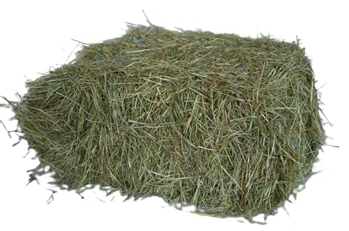 agrar-Store 7Kg Heu Heuballen Wiesenheu 1.Schnitt Futterheu Kaninchenheu Meerschweinchenheu Stroh von Generic