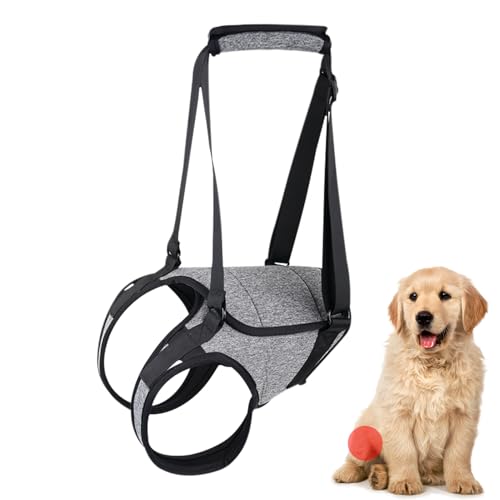 hundehebekabel hund hilfsgürtel hund hundehilfe mit griffschlaufe hundegurt rückenbeinstütze hunde gehhilfe haustier gehhilfe für ältere haustiere von Generic