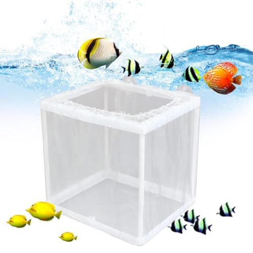 Aquarienzuchtbox, Fischzuchtbox, Netzkasten für Fische, Brutkasten, Trennnetz für frittierte Fische, Brutkasten für Aquarien, Brutkasten mit Saugnapf von Genérico