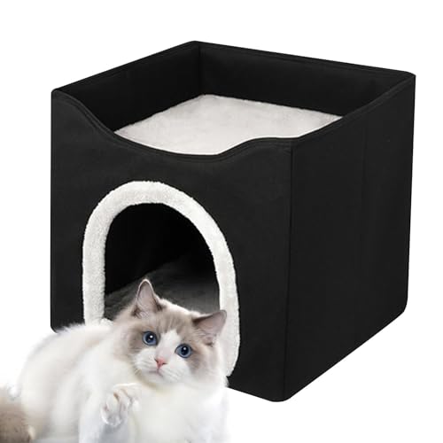 Aufbewahrungsbox für Armaturenbrett: Aufbewahrungsbox für Armaturenbrett, automatischer Organizer für Armaturenbrett, Montage der Mittelkonsole von La Ba von Genérico