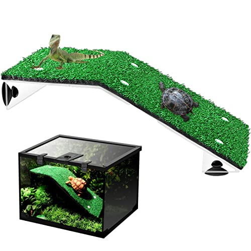 Auffangplattform - Linda Behälterplattform | 22 x 7 cm Kletterwand Green Ladder | schwimmende Dekoration mit Feder für Reptilien Simulation Bas Auffangplattform - Linda Behälterplattform | 22 x 7 cm Kletterwand Green Ladder | schwimmende Dekoration mit Feder für Reptilien Simulation Bas von Genérico