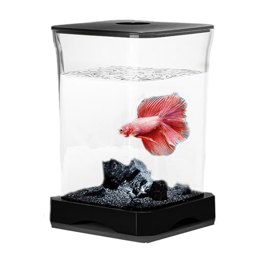 Betta Fish Tank, Betta Tank | Aquarium für Schlafzimmer | Rechteckige Fischaquariumschale mit LED-Licht zur Heimdekoration für Guppy Quallen von Genérico