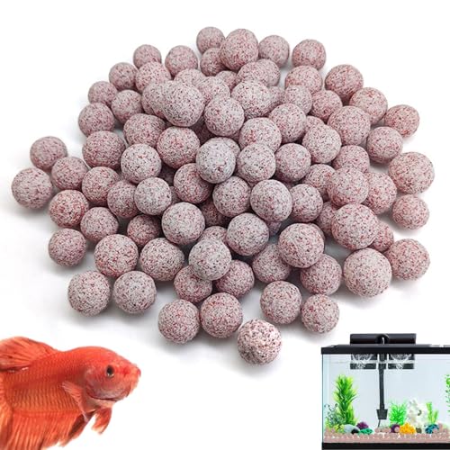 Biologische Keramikkugeln für Aquarien – 500 g natürlicher Medienfilter, Wasserfilterkugeln für Korbfilter | Biologische Unterstützung für die Filtration von Frisch- und Meerwasseraquarien von Genérico