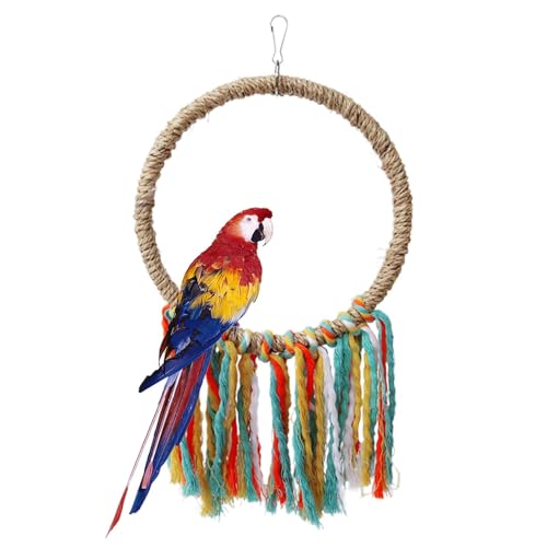 Bird Parrot Kauspielzeug | Buntes Futter aus Baumwollseil | Birds Papageienkäfig Beißspielzeug mit Ring zum Aufhängen für Wellensittich Conure Cockatiel Mynah von Genérico