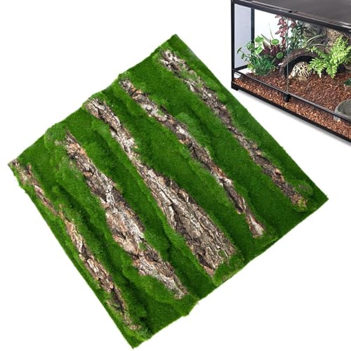 Carco Facholo aus -Tank – Dekoration des Tortoise Backdrop aus Rinde, Reptile Bark Fackdrop, Wanddekoration für Gecko Lizard Tortoise Frog Chameleon Boost Reptile von Genérico