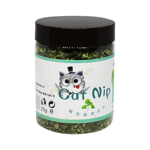 Cat Nip, Catnip für Katzen, frische Katzentoilette, interaktiver beruhigender Geschmack, sicher, attraktiv, für das Kätzchenzimmer Cat Nip, Catnip für Katzen, frische Katzentoilette, interaktiver beruhigender Geschmack, sicher, attraktiv, für das Kätzchenzimmer von Genérico