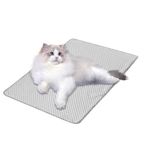Cool Mat für Hunde, Kühlmatte für Haustiere für Katzen, atmungsaktive Eismatte für Haustiere, Sommerschlafmatratze für Haustiere drinnen und draußen, Kissen Cool Mat für Hunde, Kühlmatte für Haustiere für Katzen, atmungsaktive Eismatte für Haustiere, Sommerschlafmatratze für Haustiere drinnen und draußen, Kissen von Genérico