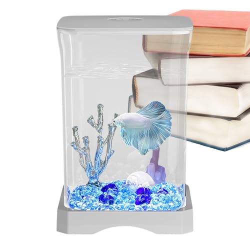 Fischbehälter für den Schreibtisch: kleines LED-Aquarium, ruhige Pumpe und Filterkombination | transparente Acrylschale für Betta oder Goldfische, Tischlebensraum für Büro oder Schlafzimmer, von Genérico