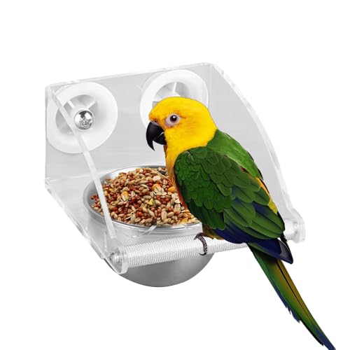 Futterstation für Vögel, Futterschale für kleine Papageien, Futterschale für hängende Vögel, Futterschale für kleine Papageien, transparente Vögel mit Spieß von Genérico