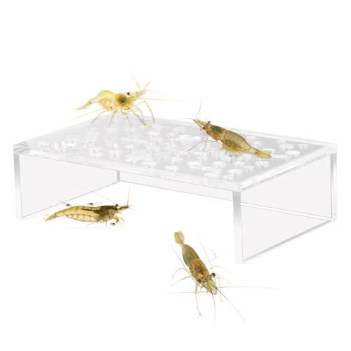 Garnelenzuchtschutz: Garnelentunnel und Zucht von Höhlen in der Höhle, Versteck für , Höhle und Aquariumtunnel, Dekoration des Garnelentanks, transparent für Aquarien von Genérico