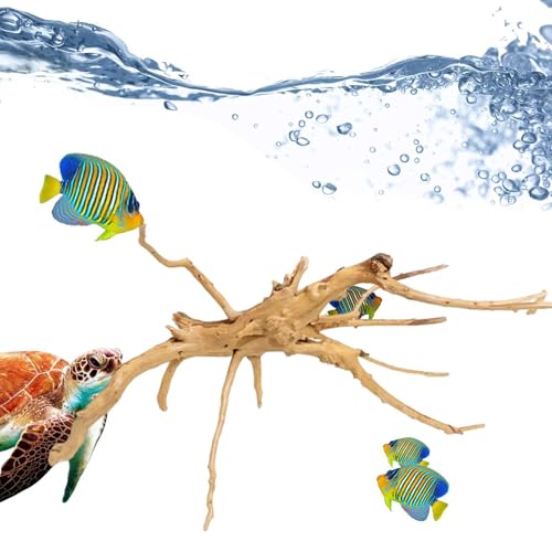 Genérico Aquarienpflanzen, Baumwurzel aus Tank, Dekoration für Aquarium, aus Massivholz aus Reptilien, für Fisch, Versteck für kleine Fische Genérico Aquarienpflanzen, Baumwurzel aus Tank, Dekoration für Aquarium, aus Massivholz aus Reptilien, für Fisch, Versteck für kleine Fische von Genérico