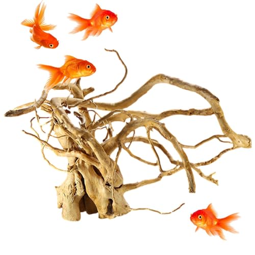 Genérico Aquarienpflanzen, Baumwurzel aus Tank, Dekoration für Terrarium aus Massivholz aus Reptilien, Fischzubehör zum Verstecken kleiner Fische Genérico Aquarienpflanzen, Baumwurzel aus Tank, Dekoration für Terrarium aus Massivholz aus Reptilien, Fischzubehör zum Verstecken kleiner Fische von Genérico
