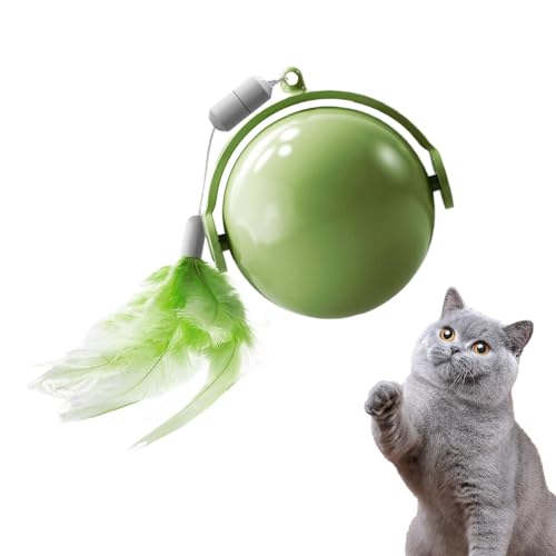 Genérico Interactive Hundespielzeug – Katzenball | Obstacle Avoidance Geistige Stimulation Keeps Katzen Active Entertainment Boredom Ball Spielzeug mit Feder für spielende Kätzchen Genérico Interactive Hundespielzeug – Katzenball | Obstacle Avoidance Geistige Stimulation Keeps Katzen Active Entertainment Boredom Ball Spielzeug mit Feder für spielende Kätzchen von Genérico