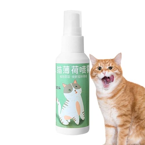 Genérico Kataria-Lösung – Extra-Strong, Katzenminz-Tinktur, reiner Auslöserextrakt, 50 ml, leistungsstarke Katze, organische Feelines Suplemen von Genérico