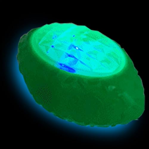 Genérico Kaubälle für Hunde, Gummispielzeug für Hunde, interaktives Spielzeug für Hunde, glänzende elastische Bälle für Welpen, kleine Haustiere von Genérico