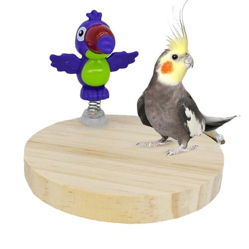 Genérico Parrot Stand - Ständer für Vogel-Kleiderbügel, Zubehör für Spiele, natürliches Anreicherungsspielzeug zum für Conure Stimulation der Neugier - mit einem Hühnchen im Inneren von Genérico