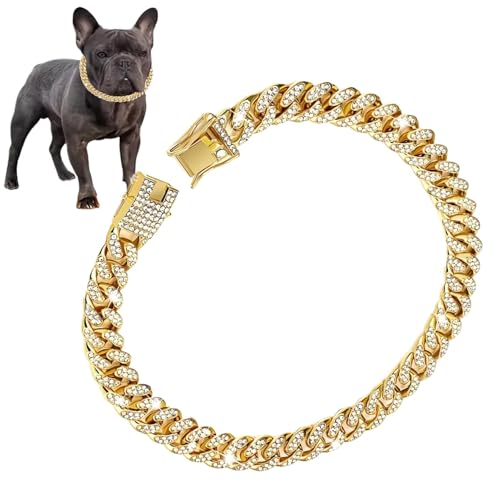 Goldkette für Hunde, Goldenes Hundehalsband mit 24 cm langer Hundekette – Hundehalsband aus Metall mit Schnalle Goldkette für Hunde, Goldenes Hundehalsband mit 24 cm langer Hundekette – Hundehalsband aus Metall mit Schnalle von Genérico