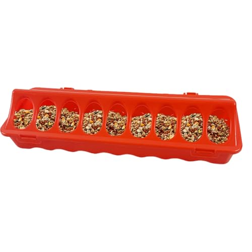 Hähnchen-Futterspender für Geflügel, Top, Vogelspender, Hühnergetränk mit 12 Löchern für Tauben, , Wachteln, Tablett mit Schlitzen zum Füttern von Genérico
