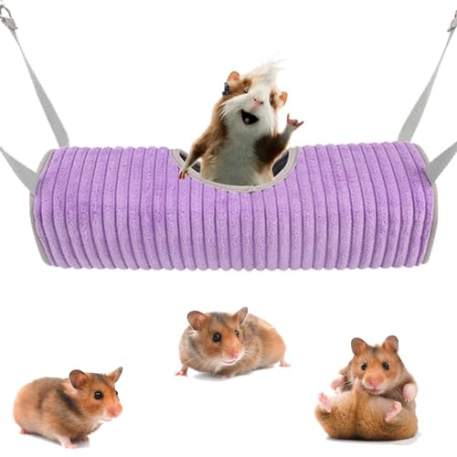 Hamster-Hängemattenbett, Frettchenkäfig-Hängematte, kleines Haustierbett mit Haken und Seilen für Frettchen, Hamster, Eichhörnchen und Chinchi Hamster-Hängemattenbett, Frettchenkäfig-Hängematte, kleines Haustierbett mit Haken und Seilen für Frettchen, Hamster, Eichhörnchen und Chinchi von Genérico