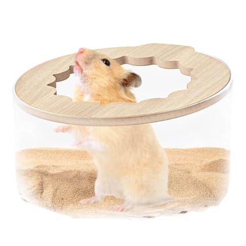 Hamsterbad | Hamsterbad | Hamsterbad verbessert die Hygiene von Hamstern | Weit verbreiteter Syrischer Hamster | arech Tiertoilette Hamsterbad | Hamsterbad | Hamsterbad verbessert die Hygiene von Hamstern | Weit verbreiteter Syrischer Hamster | arech Tiertoilette von Genérico