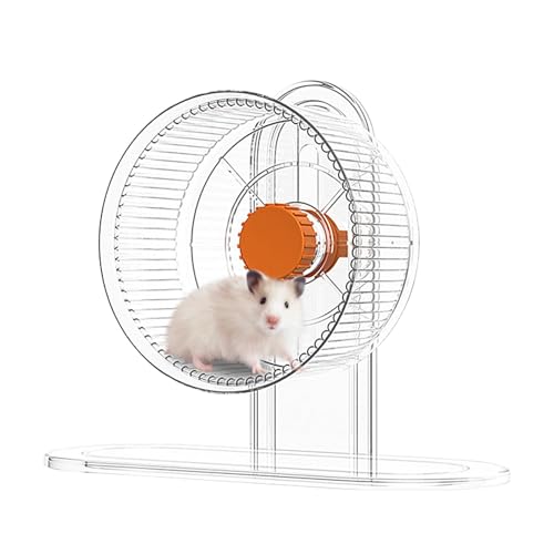 Hamsterrad, leises Hamsterrad, leises Chinchilla-Rad für Hamster, Spielzeug für Meerschweinchen, höhenverstellbar, Zubehör für Kaninchenkäfige Hamsterrad, leises Hamsterrad, leises Chinchilla-Rad für Hamster, Spielzeug für Meerschweinchen, höhenverstellbar, Zubehör für Kaninchenkäfige von Genérico