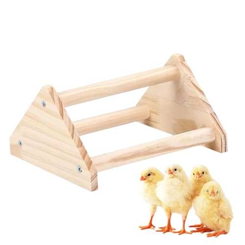 Hühnerbarsch, Barsch, Hähnchen-Trainingsbarsch, Hühnerhalter für Haustiere, sicheres und harmloses Kletterspielzeug für neugeborene Küken und junge Vögel Hühnerbarsch, Barsch, Hähnchen-Trainingsbarsch, Hühnerhalter für Haustiere, sicheres und harmloses Kletterspielzeug für neugeborene Küken und junge Vögel von Genérico