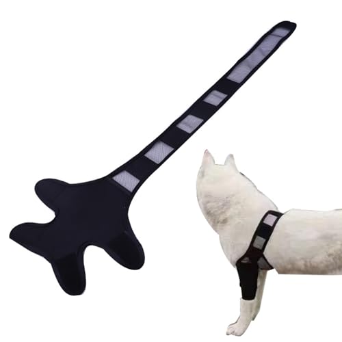 Hunde-Beinband: Gelenkstütze für Hunde, für Mobilität, orthopädische Haustier-Bandage, Unterstützung für Vorderbeine, Schutz des zerrissenen Bandes, Leine von Genérico