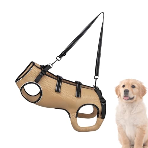 Hundegeschirr, Unterstützung und Erholung von Hunden, Hundegeschirr, Nursing Recovery Elderly Senior Disabled Sick Weak Rear Legs For Adjustable Assistance Pet Supplies Hundegeschirr, Unterstützung und Erholung von Hunden, Hundegeschirr, Nursing Recovery Elderly Senior Disabled Sick Weak Rear Legs For Adjustable Assistance Pet Supplies von Genérico