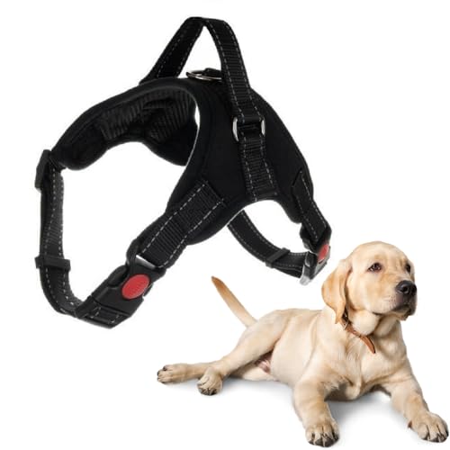 Hundegeschirr, atmungsaktiv, verstellbar, bequem, inklusive Leine, klein, mittel und groß, ideal zum Trainieren von Spaziergängen (S, Schwarz) von Generico