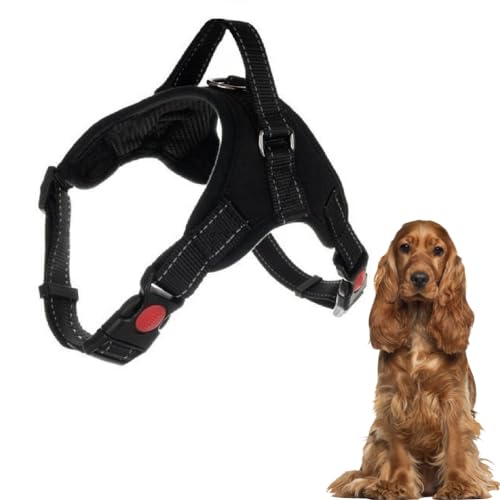 Hundegeschirr, atmungsaktiv, verstellbar, bequem, inklusive Leine, klein, mittel und groß, ideal zum Trainieren von Spaziergängen (XL, Schwarz) von Generico