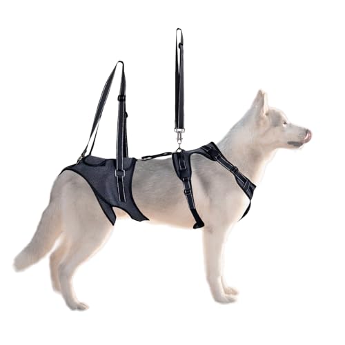 Hundegeschirr für Ganzkörper | Mobilitätshilfe mit Griff, Transporthilfe für Erholung, Rehabilitation, eingeschränkte Mobilität und ältere Hunde mit Le Hundegeschirr für Ganzkörper | Mobilitätshilfe mit Griff, Transporthilfe für Erholung, Rehabilitation, eingeschränkte Mobilität und ältere Hunde mit Le von Genérico