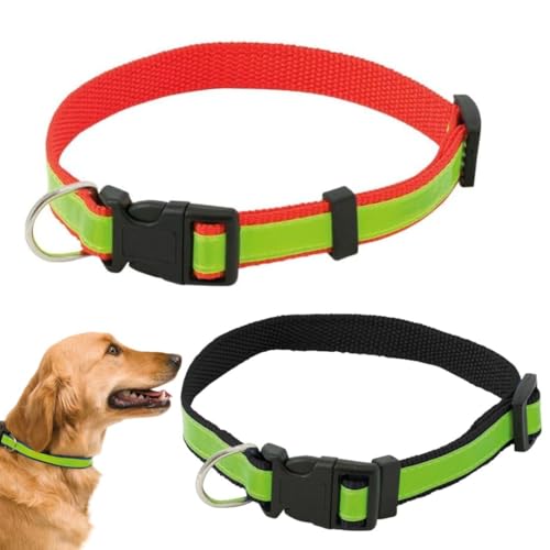 Hundehalsband, reflektierendes Nylon-Hundehalsband mit Licht, gepolstert, verstellbares Halsband für kleine mittelgroße und große Hunde, leuchtendes Hundehalsband, Rot, Grün, Einheitsgröße (35-50 cm) von Genérico