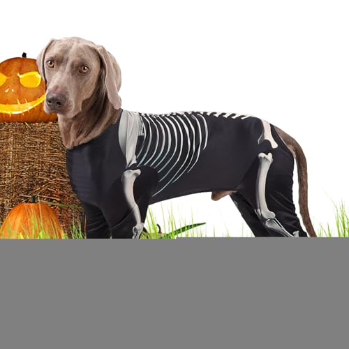 Hundekostüme für Halloween, Skelett-Sweatshirt für Hunde, Overall für Haustiere, für den täglichen Gebrauch, Feiern, Treffen, Reisen, Cosplay, Outdoor, Zuhause von Genérico