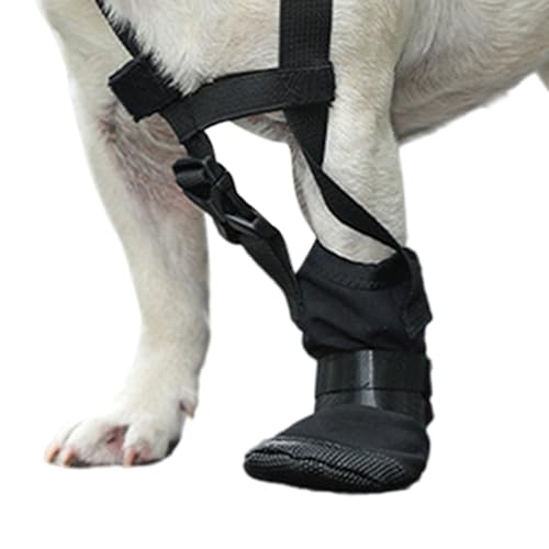 Hundeschuhe – Schutzabdeckungen für die Vorderbeine, rutschfeste Hilfe für kleine Hunde, leichte Vorbeugung von Hundeschuhen, atmungsaktiv, Spaziergänge und Verletzungsprävention Hundeschuhe – Schutzabdeckungen für die Vorderbeine, rutschfeste Hilfe für kleine Hunde, leichte Vorbeugung von Hundeschuhen, atmungsaktiv, Spaziergänge und Verletzungsprävention von Genérico