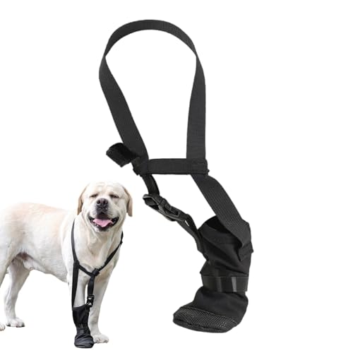 Hundeschutz – Fußschutz für die Vorderbeine der Höhe der Hunde, der ein sanftes Gleiten testet – Haustierbedarf gegen die Unterstützung der Vorderbeine, Hundeschutz – Fußschutz für die Vorderbeine der Höhe der Hunde, der ein sanftes Gleiten testet – Haustierbedarf gegen die Unterstützung der Vorderbeine, von Genérico