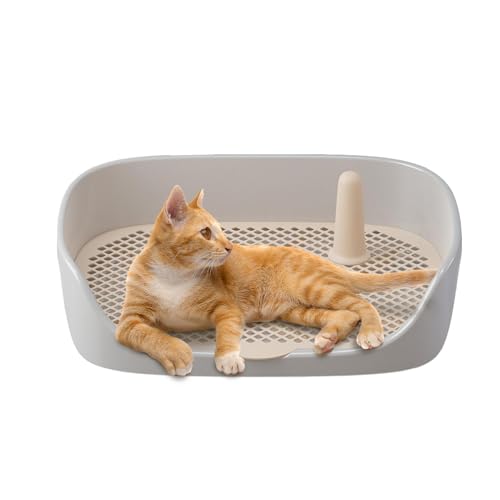 Indoor-Hundetoilette | Trainingstablett für Hunde im Innen- und Außenbereich | Hundetraining mit Schutzwand, Box für den Außenbereich von Genérico