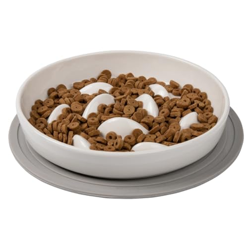 Interac Katzenschüsseln mit langsamer Fütterung – Dish Portionskontrolle, hohe langsame Fütterungsschüssel, langsame Katzenfutterschale, Anti-Slip-Schüssel Interac Katzenschüsseln mit langsamer Fütterung – Dish Portionskontrolle, hohe langsame Fütterungsschüssel, langsame Katzenfutterschale, Anti-Slip-Schüssel von Genérico