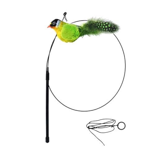 Interactive Katzenspielzeug, Vogelspielzeug, Krallenvogel, Katzenspielzeug, Kratzspielzeug, interaktives Katzen-Wand-Ersatz mit Leine für Haustier-Kätzchen, kleine Tiere von Genérico