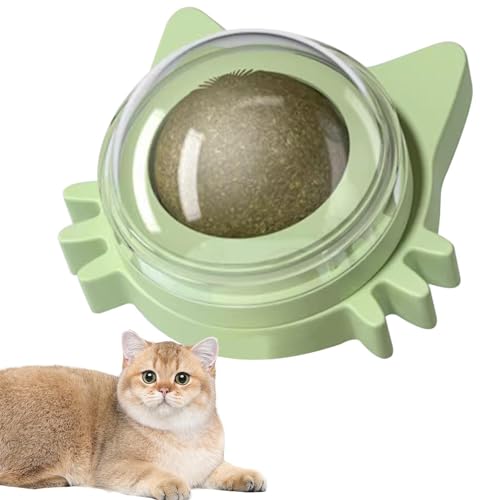 Interaktives Wandspielzeug mit Katzenminze, interaktives Spielzeug für Katzen mit Katzenminze, Kätzchen, Zahnreinigung, Spielzeug für kleine und mittelgroße Katzen Interaktives Wandspielzeug mit Katzenminze, interaktives Spielzeug für Katzen mit Katzenminze, Kätzchen, Zahnreinigung, Spielzeug für kleine und mittelgroße Katzen von Genérico