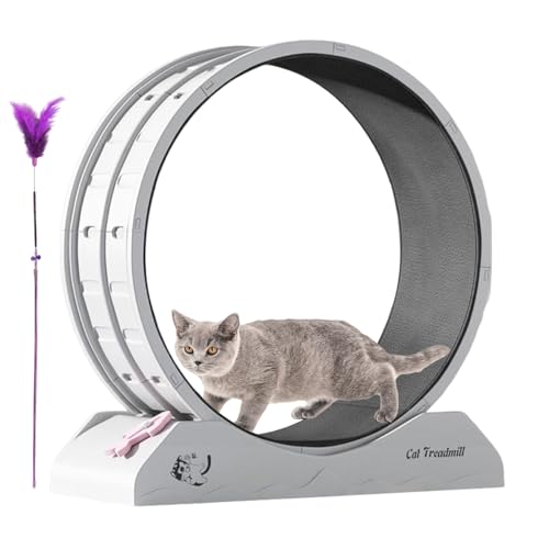 Katzen-Übungsrad: Laufband, geräuscharm, groß, Fitnessrad für Katzen, für den Innenbereich, schweres Aktivitätsspielzeug ohne Lärm, robust von Genérico