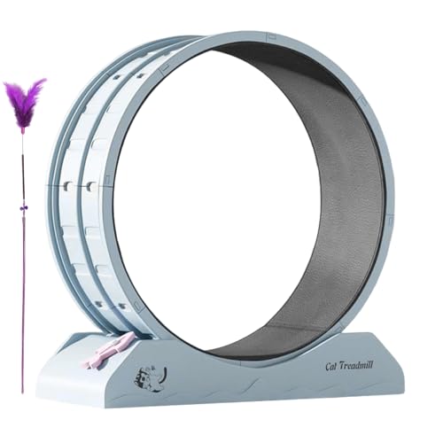 Katzenrad für Indoor-Katzen, Trainingsrad für Katze, Gewichtsverlust für Kätzchen: leises Anti-Falling Treadmill Running Fitness Wheels mit Teaser für Katzen von Genérico