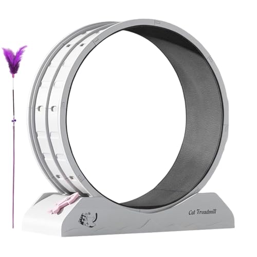 Katzenrad für Indoor-Katzen, Trainingsrad für Katze, Gewichtsverlust für Kätzchen: leises Anti-Falling Treadmill Running Fitness Wheels mit Teaser für Katzen von Genérico