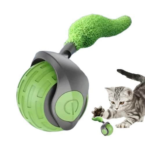 Katzenspielzeug mit Bewegung und animierter Schwanz: Elektrisches Trainingsgerät und geistiges Spiel, intelligenter interaktiver Ball für Wohnungskatzen mit Geschwindigkeitsregulierungsmodus Katzenspielzeug mit Bewegung und animierter Schwanz: Elektrisches Trainingsgerät und geistiges Spiel, intelligenter interaktiver Ball für Wohnungskatzen mit Geschwindigkeitsregulierungsmodus von Genérico